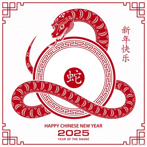 2025年是什么生肖|2025年生肖属什么？